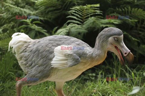 Mary Evans - Ardea HD Sept 2014