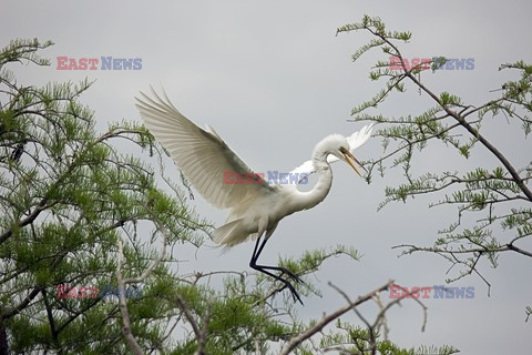 Mary Evans - Ardea HD Sept 2014