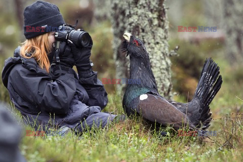 Mary Evans - Ardea HD Sept 2014