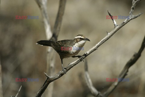 Mary Evans - Ardea HD Sept 2014