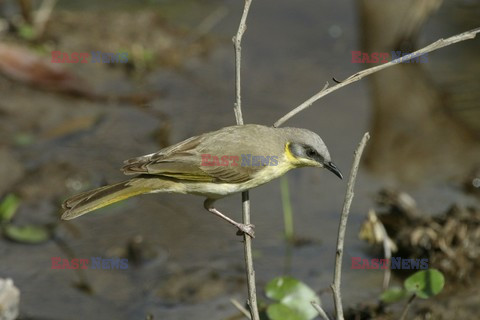 Mary Evans - Ardea HD Sept 2014