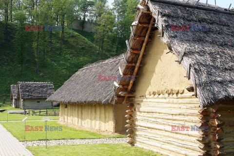 Polska Monk