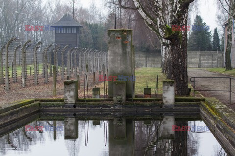 Miejsce Pamięci i Muzeum Auschwitz-Birkenau