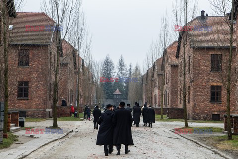 Miejsce Pamięci i Muzeum Auschwitz-Birkenau