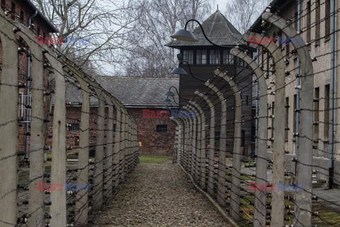 Miejsce Pamięci i Muzeum Auschwitz-Birkenau