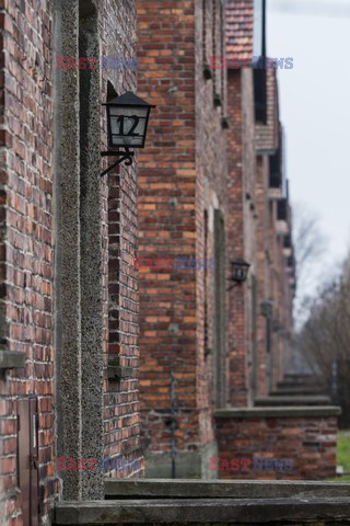 Miejsce Pamięci i Muzeum Auschwitz-Birkenau