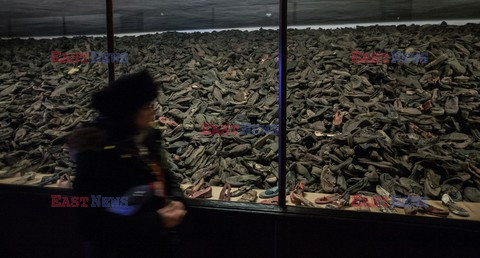 Miejsce Pamięci i Muzeum Auschwitz-Birkenau