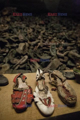 Miejsce Pamięci i Muzeum Auschwitz-Birkenau