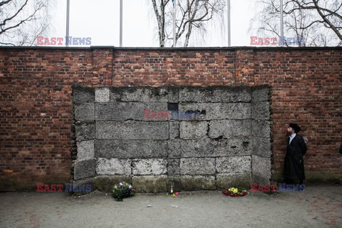 Miejsce Pamięci i Muzeum Auschwitz-Birkenau