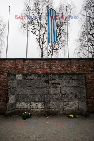 Miejsce Pamięci i Muzeum Auschwitz-Birkenau