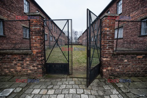 Miejsce Pamięci i Muzeum Auschwitz-Birkenau