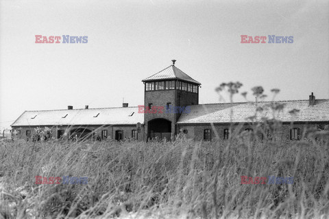 Miejsce Pamięci i Muzeum Auschwitz-Birkenau