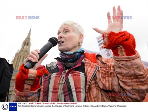 Vivienne Westwood protestuje przed londyńskim parlamentem