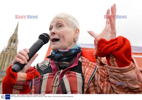 Vivienne Westwood protestuje przed londyńskim parlamentem