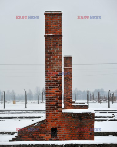 Miejsce Pamięci i Muzeum Auschwitz-Birkenau