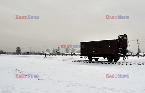 Miejsce Pamięci i Muzeum Auschwitz-Birkenau