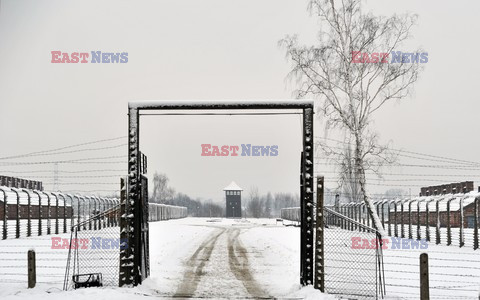 Miejsce Pamięci i Muzeum Auschwitz-Birkenau