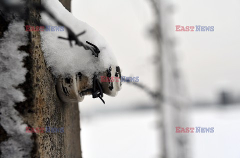 Miejsce Pamięci i Muzeum Auschwitz-Birkenau