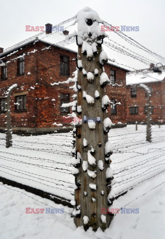 Miejsce Pamięci i Muzeum Auschwitz-Birkenau