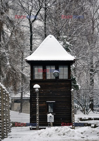 Miejsce Pamięci i Muzeum Auschwitz-Birkenau