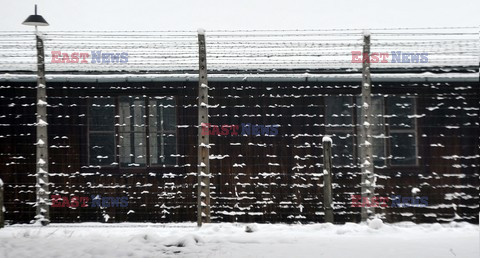 Miejsce Pamięci i Muzeum Auschwitz-Birkenau