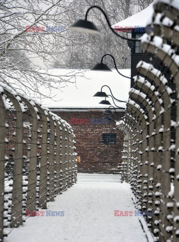 Miejsce Pamięci i Muzeum Auschwitz-Birkenau