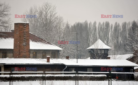 Miejsce Pamięci i Muzeum Auschwitz-Birkenau