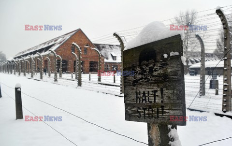 Miejsce Pamięci i Muzeum Auschwitz-Birkenau