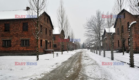 Miejsce Pamięci i Muzeum Auschwitz-Birkenau