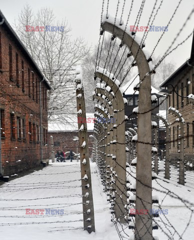 Miejsce Pamięci i Muzeum Auschwitz-Birkenau