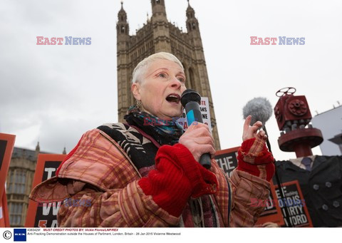 Vivienne Westwood protestuje przed londyńskim parlamentem