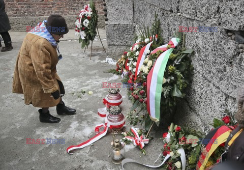 70. rocznica wyzwolenia Obozu koncentracyjnego Auschwitz Birkenau