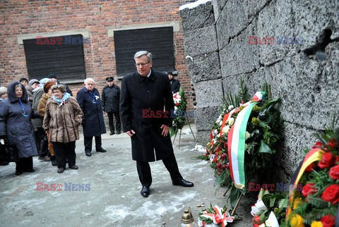 70. rocznica wyzwolenia Obozu koncentracyjnego Auschwitz Birkenau