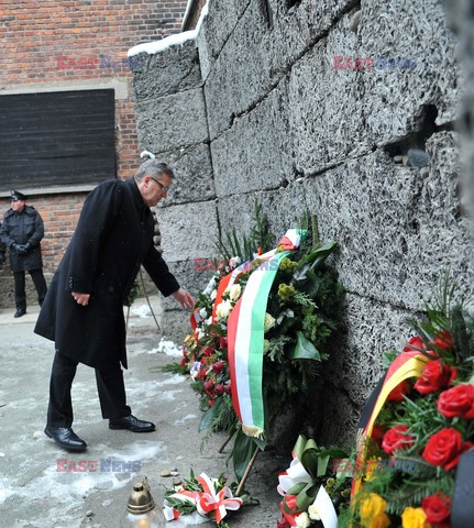 70. rocznica wyzwolenia Obozu koncentracyjnego Auschwitz Birkenau