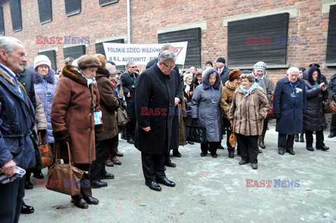 70. rocznica wyzwolenia Obozu koncentracyjnego Auschwitz Birkenau