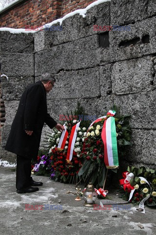 70. rocznica wyzwolenia Obozu koncentracyjnego Auschwitz Birkenau