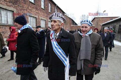 70. rocznica wyzwolenia Obozu koncentracyjnego Auschwitz Birkenau