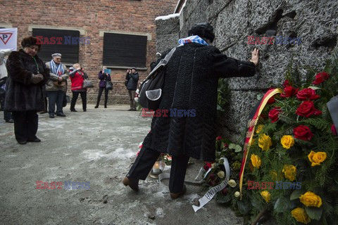 70. rocznica wyzwolenia Obozu koncentracyjnego Auschwitz Birkenau