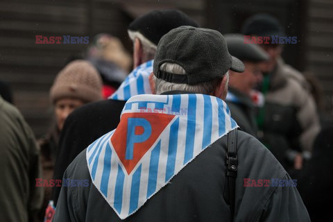 70. rocznica wyzwolenia Obozu koncentracyjnego Auschwitz Birkenau