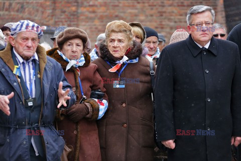 70. rocznica wyzwolenia Obozu koncentracyjnego Auschwitz Birkenau