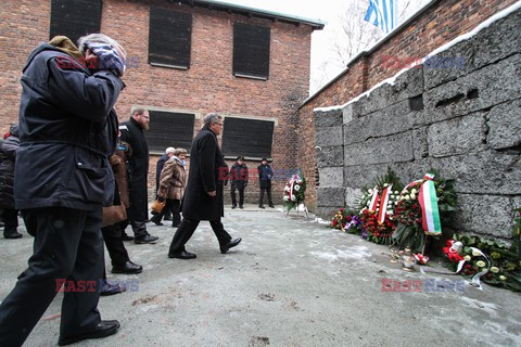 70. rocznica wyzwolenia Obozu koncentracyjnego Auschwitz Birkenau