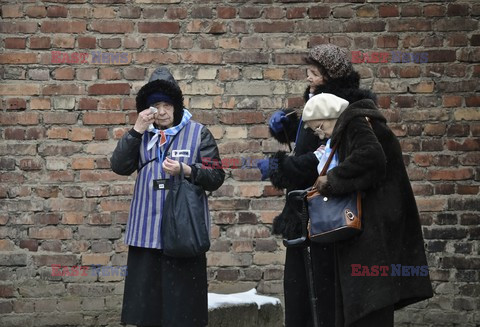 70. rocznica wyzwolenia Obozu koncentracyjnego Auschwitz Birkenau