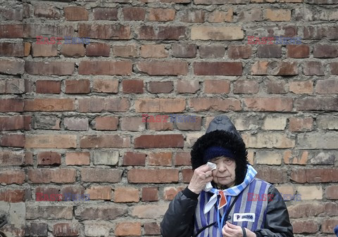 70. rocznica wyzwolenia Obozu koncentracyjnego Auschwitz Birkenau