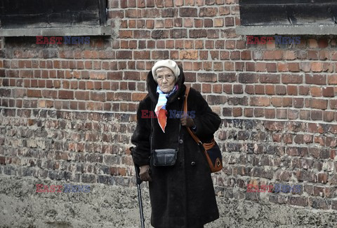 70. rocznica wyzwolenia Obozu koncentracyjnego Auschwitz Birkenau