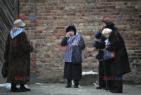 70. rocznica wyzwolenia Obozu koncentracyjnego Auschwitz Birkenau