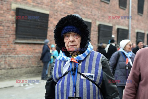 70. rocznica wyzwolenia Obozu koncentracyjnego Auschwitz Birkenau