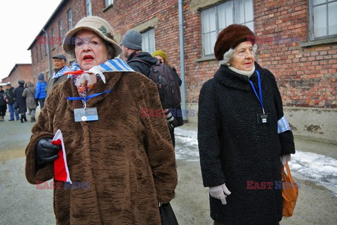 70. rocznica wyzwolenia Obozu koncentracyjnego Auschwitz Birkenau