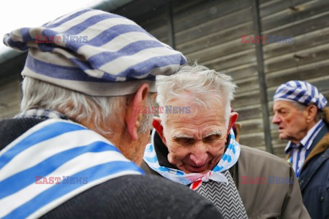 70. rocznica wyzwolenia Obozu koncentracyjnego Auschwitz Birkenau