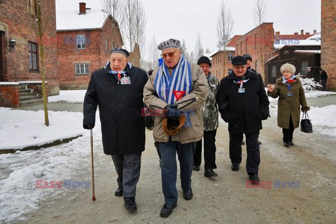 70. rocznica wyzwolenia Obozu koncentracyjnego Auschwitz Birkenau