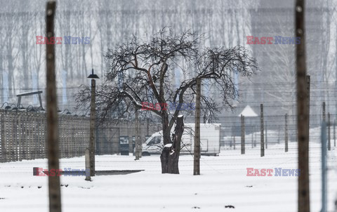 Miejsce Pamięci i Muzeum Auschwitz-Birkenau